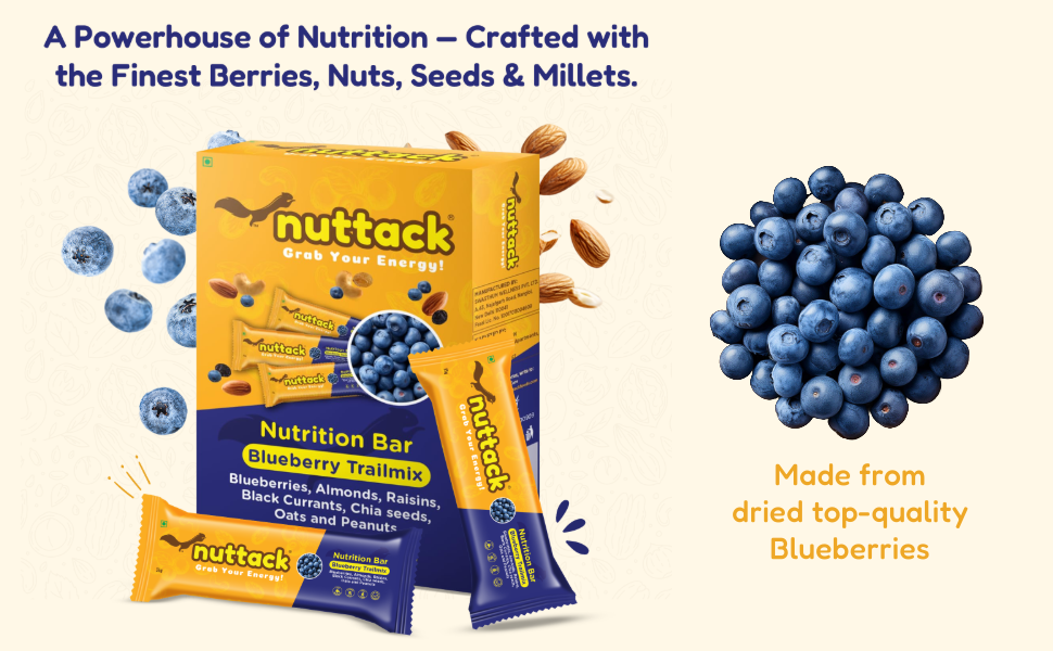 Blueberry Trailmix-Energy Bars (Pack of 4)