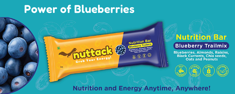 Blueberry Trailmix-Energy Bars (Pack of 6)