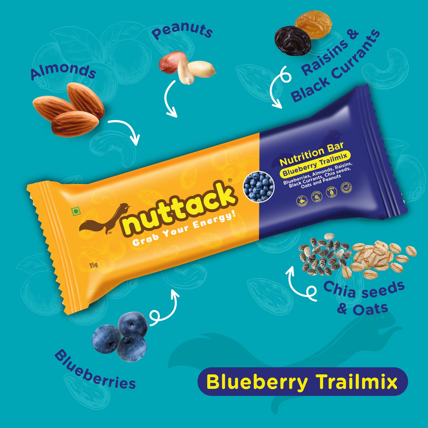 Blueberry Trailmix-Energy Bars (Pack of 6)