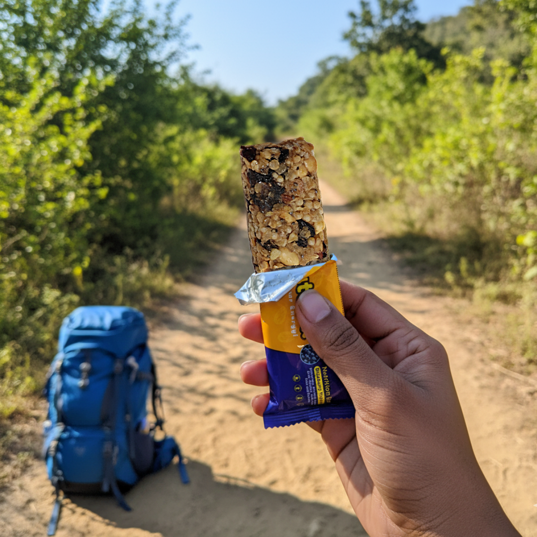 Blueberry Trailmix-Energy Bars (Pack of 4)