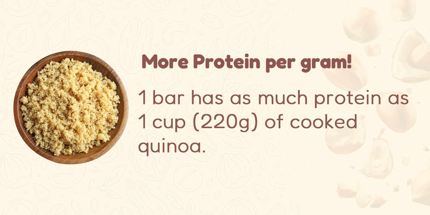 Hazelnut Choco-Protein Bars with 9g Protein (Pack of 6)